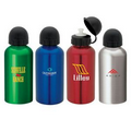 16.9 oz. Dome Top Bottle